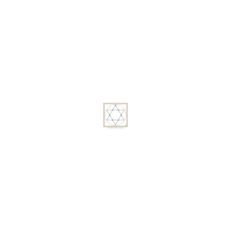 Handyschutz-Siegel 32x23mm zum Aufkleben