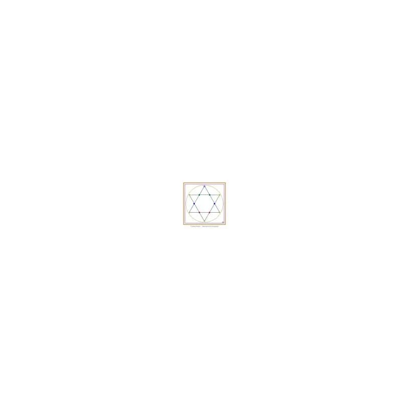 Handyschutz-Siegel 32x23mm zum Aufkleben