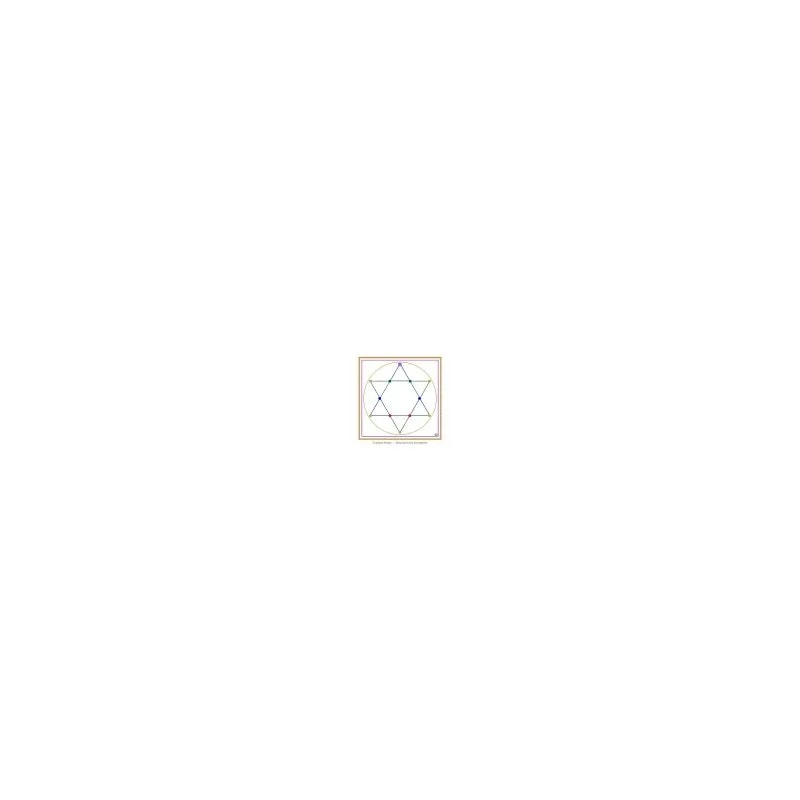 Handyschutz-Siegel 32x23mm zum Aufkleben