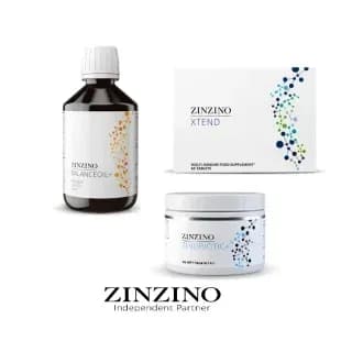 Was du beim Einstieg als Zinzino Partner beachten solltest