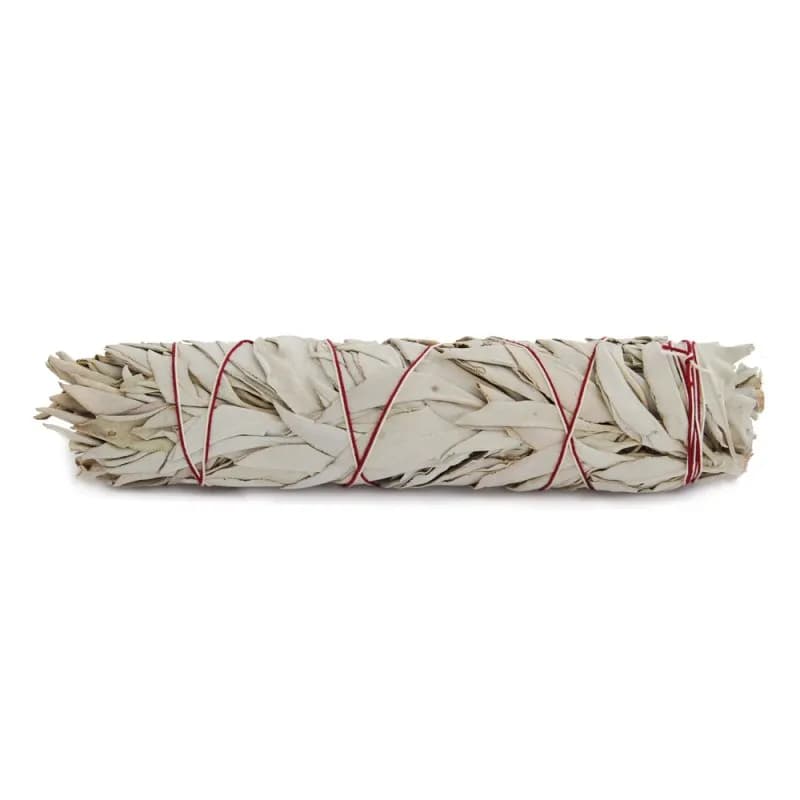 Weisser Salbei gebündelt beste Qualität groß