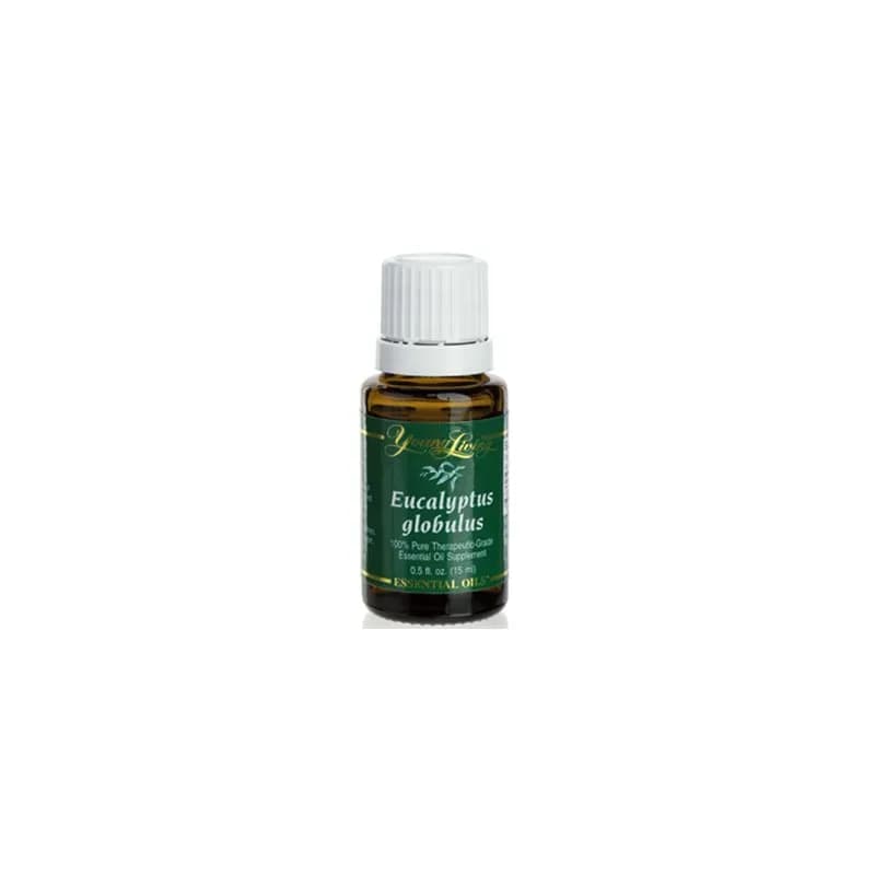 Eucalyptus Globulus Ätherisches Öl - 15 ml