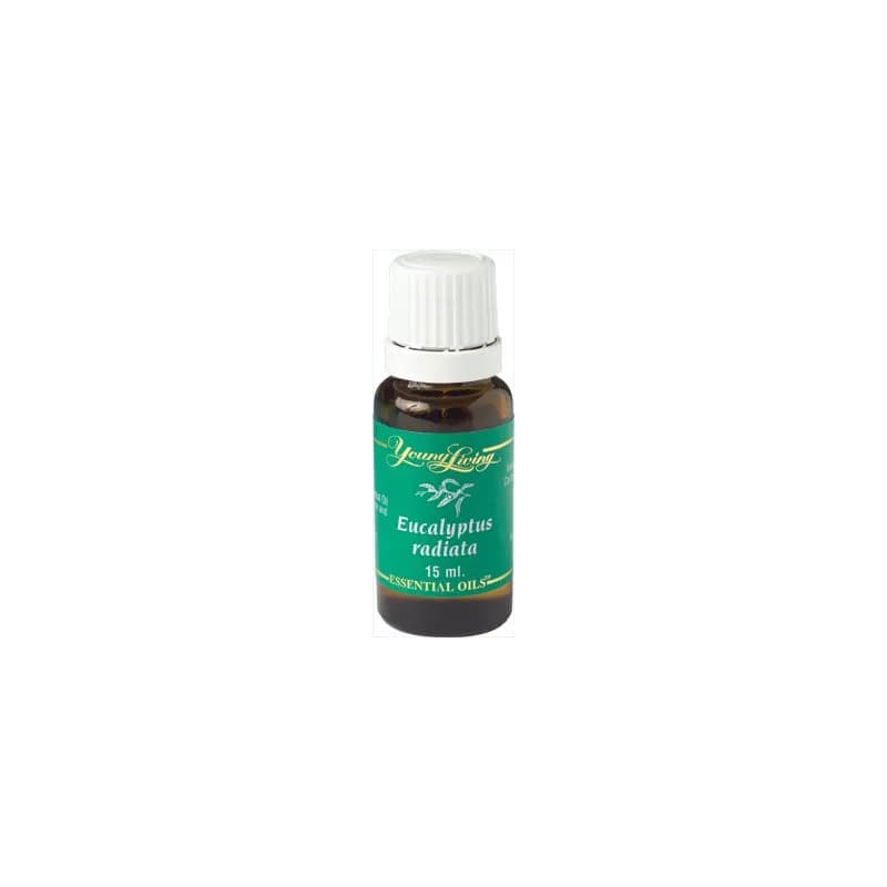 Eucalyptus Radiata Ätherisches Öl - 15 ml