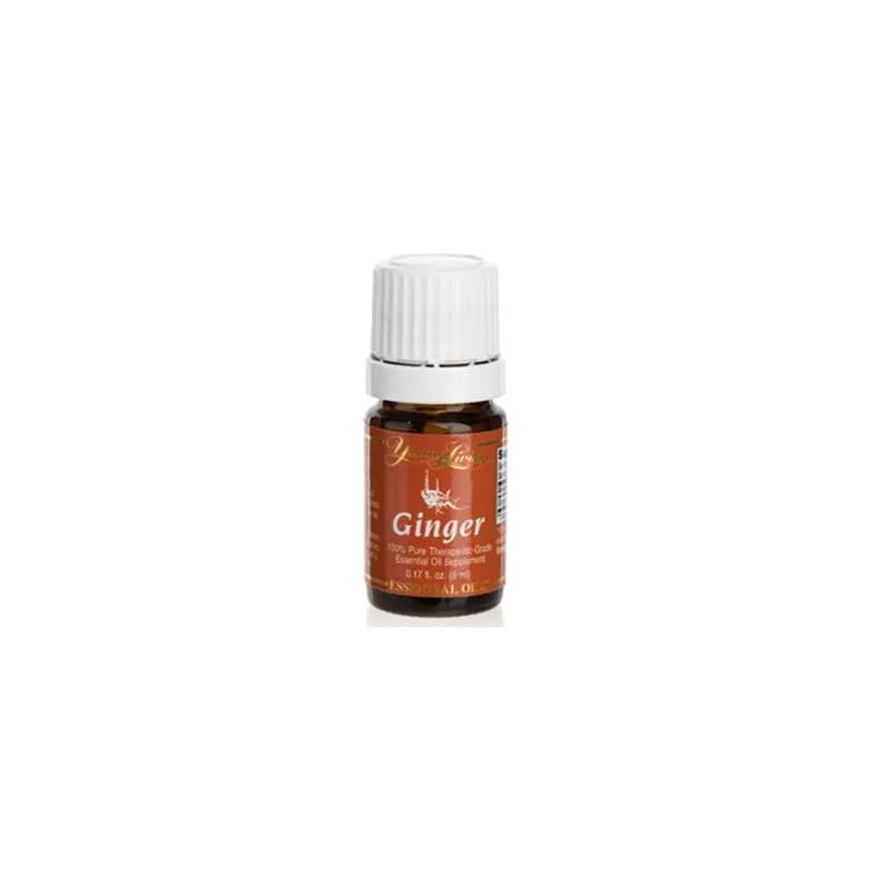 Ginger - Ingwer Ätherisches Öl - 5 ml