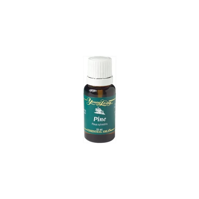 Pine - Kiefer Ätherisches Öl - 15 ml